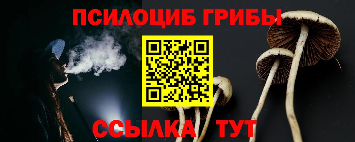 Красноармейск  магазин  наркотиков  Вход с VPN  Галлюциногенные грибы MAGIC MUSHROOMS  Псилоцибиновые грибы Psilocybine cubensis 